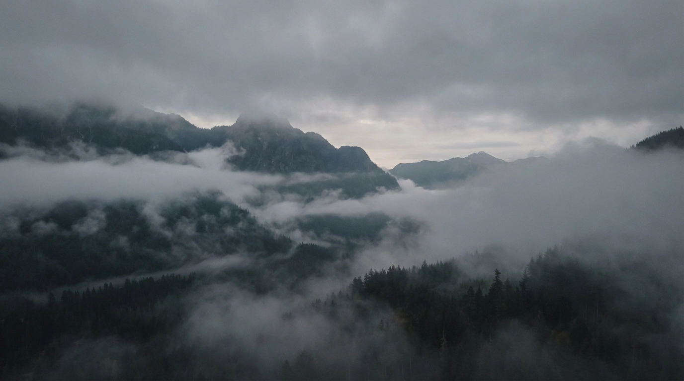 Built for Designers, Brands, and Visual Storytellers