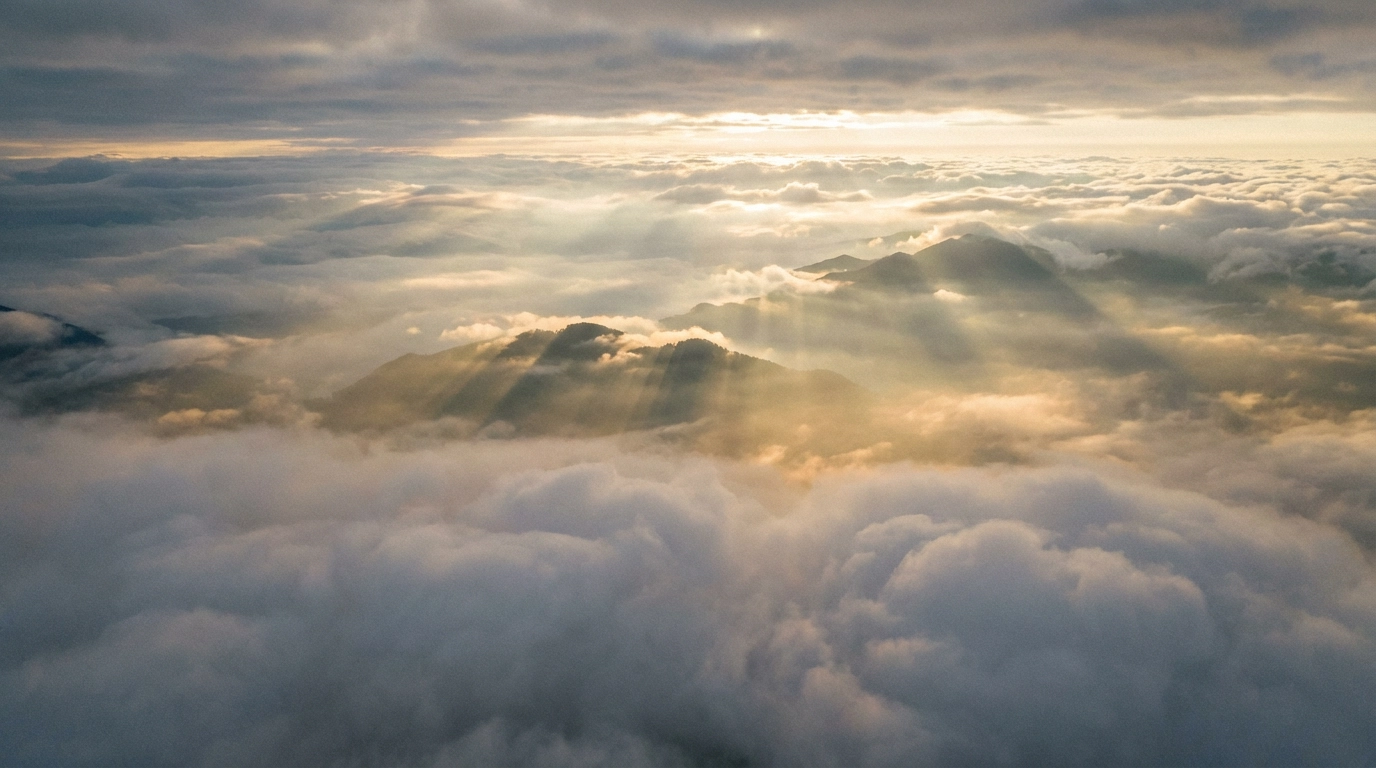 AI Cat videos for social media