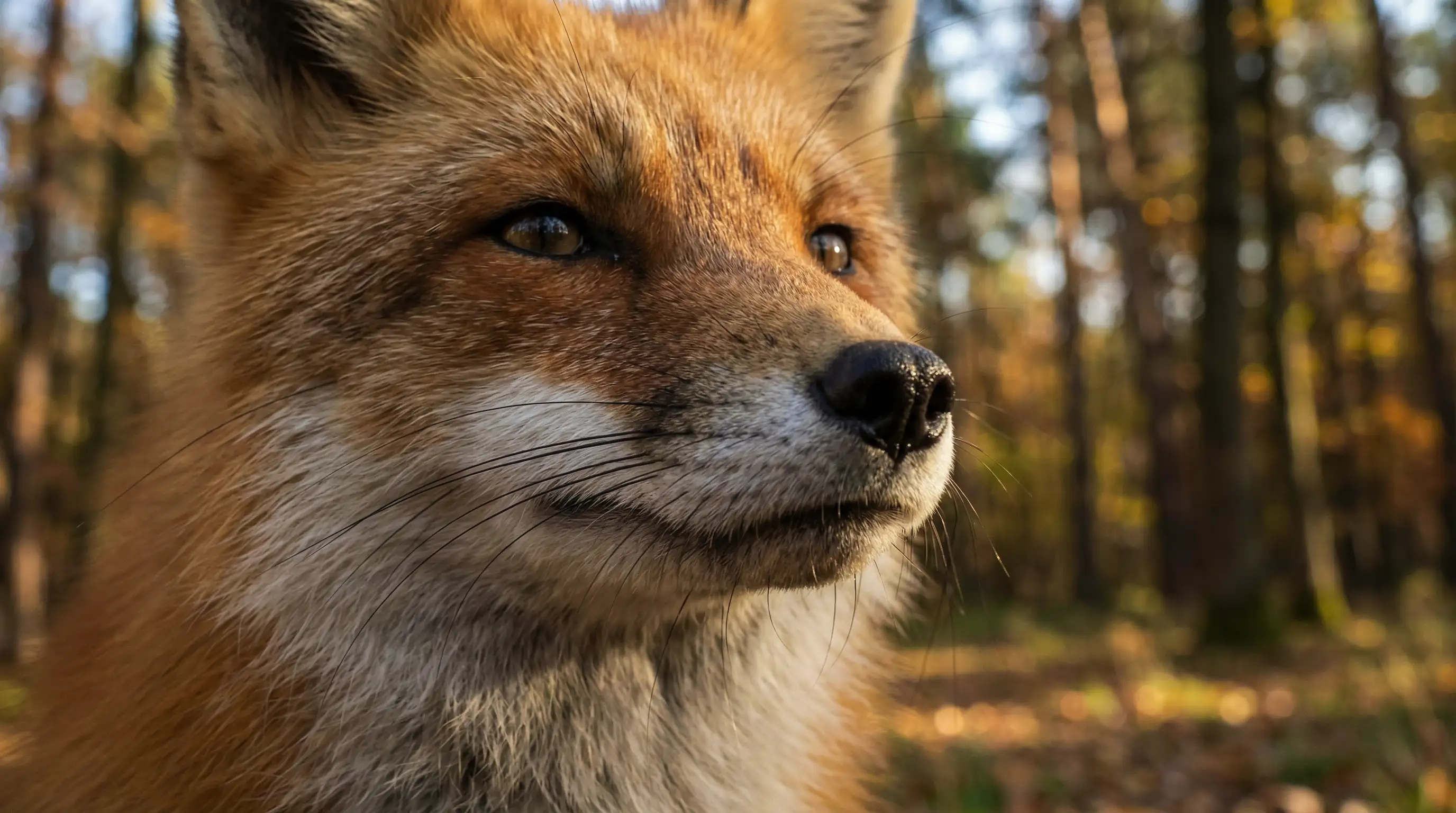صور ثعلب بالذكاء الاصطناعي تلتقط اللطافة والذكاء والأناقة الطبيعية