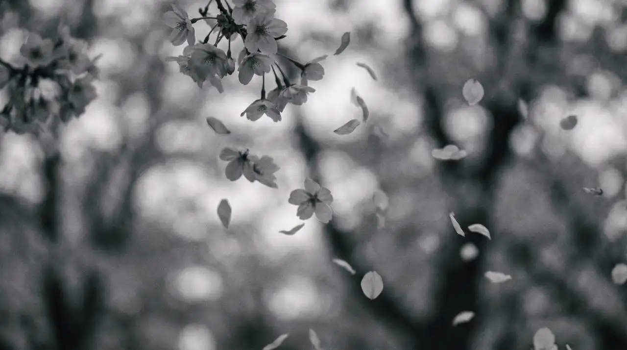 Built for Designers, Creators, and Minimalism Lovers