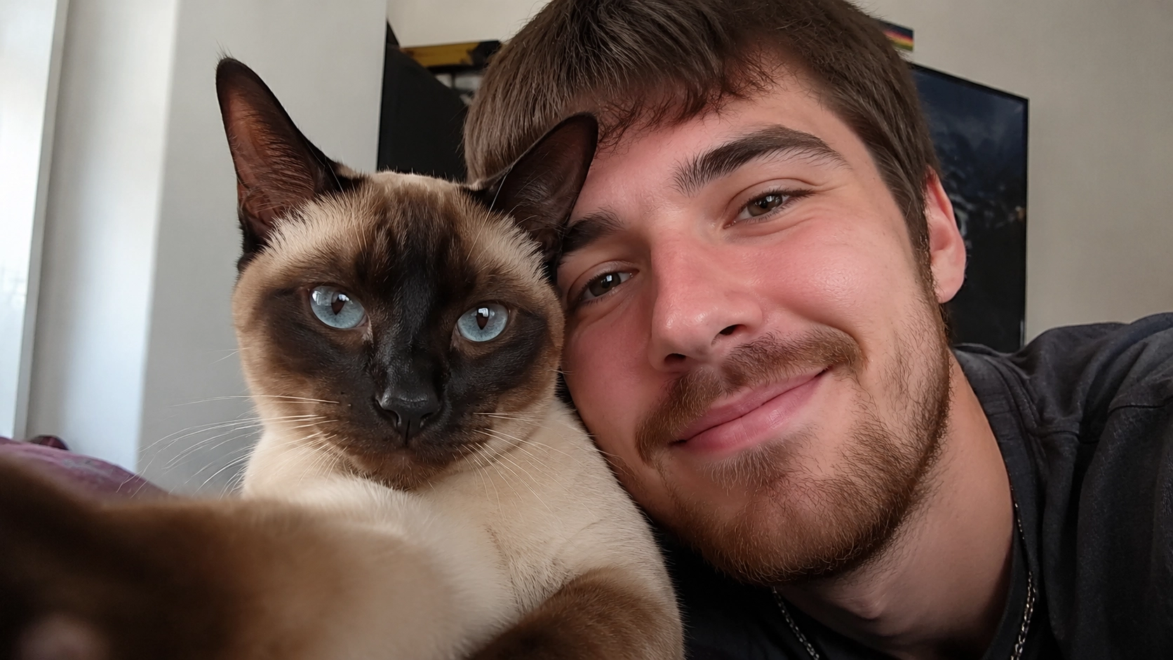 AI Cat videos for social media