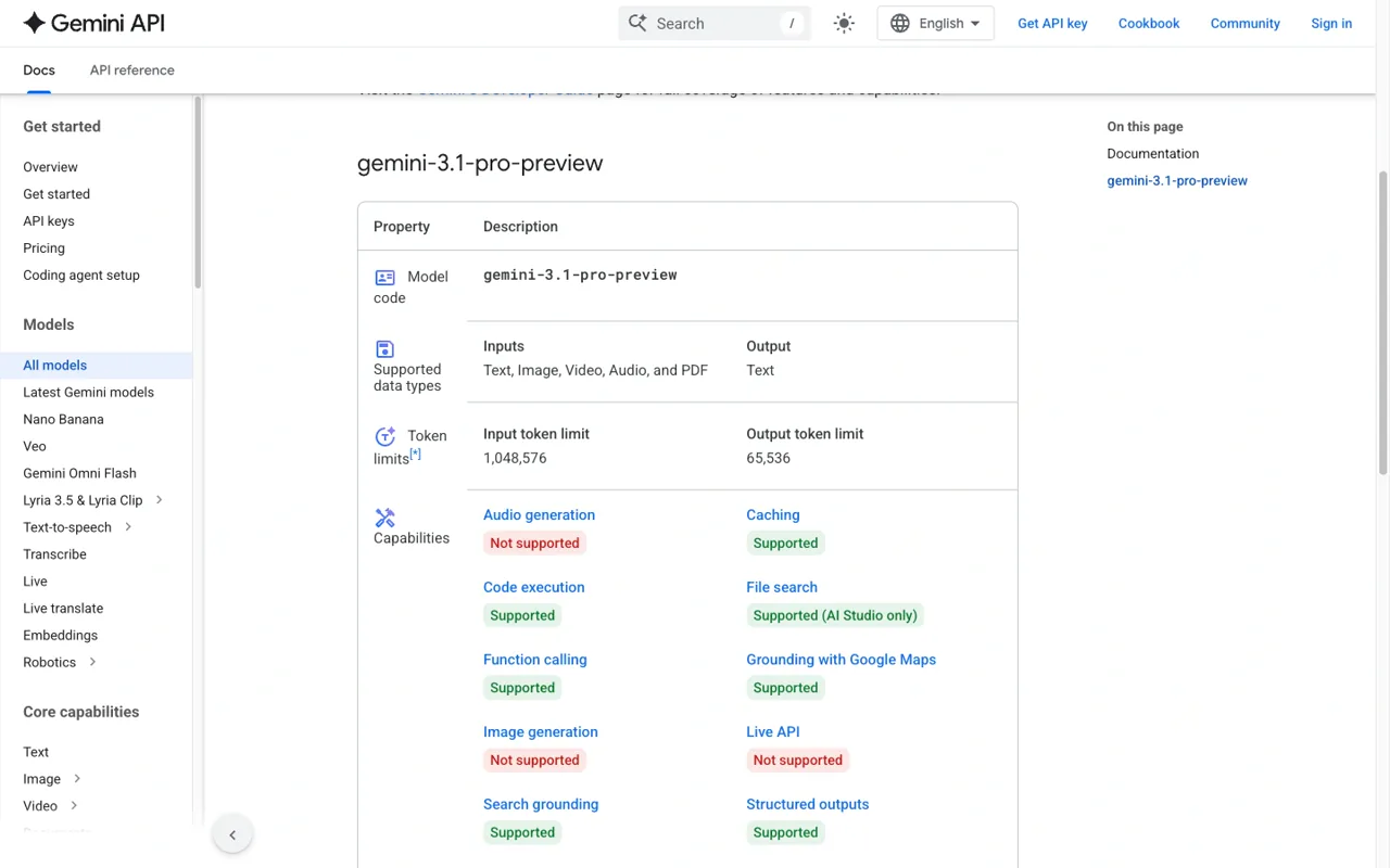 Gemini 3.1 Pro 憑證限制與支援的工具