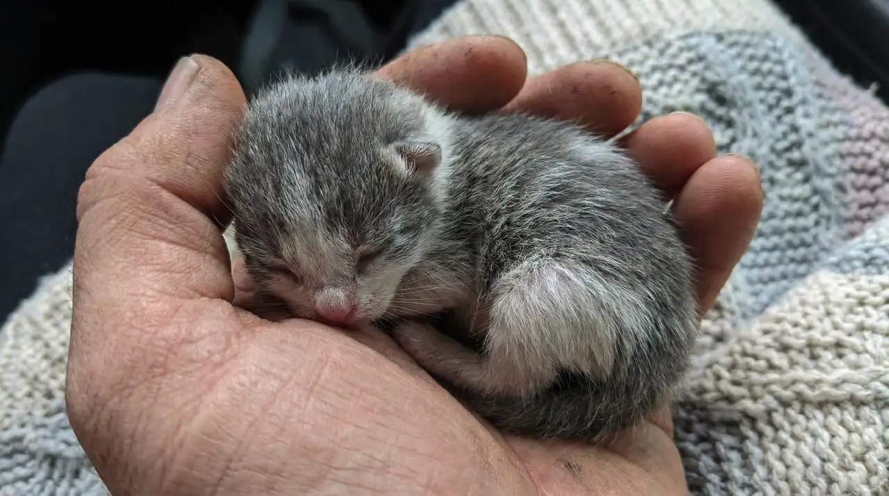 Built for Creators and Designers