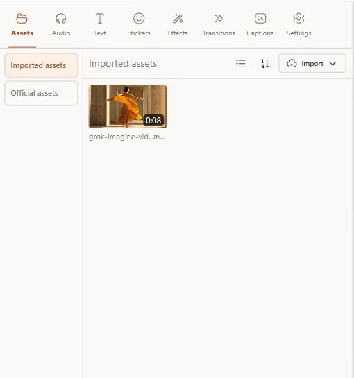 Actual Assets panel showing the Import control and media area